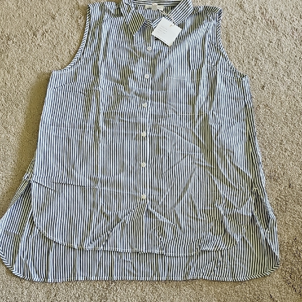 Beachlunchlounge Blue Sleeveless Boxy Button Down Shirt
